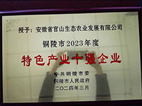 特色產(chǎn)業(yè)十強(qiáng)企業(yè)